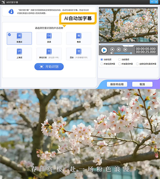 怎么给视频加字幕又快又准？5款AI自动加字幕工具评测